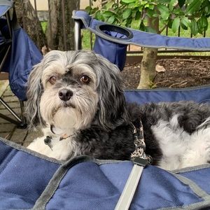 Meet your Posher, Chadchadwick